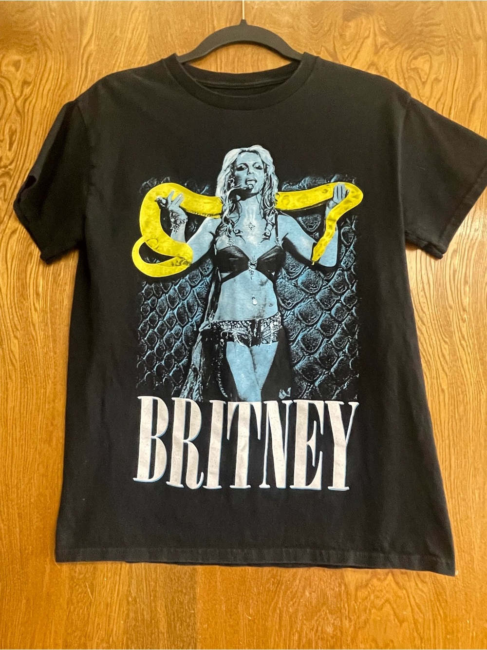 Britney Spears “I’m a Slave 4 U” Snake Graphic Tee Y2K Pop Music Shirt Small